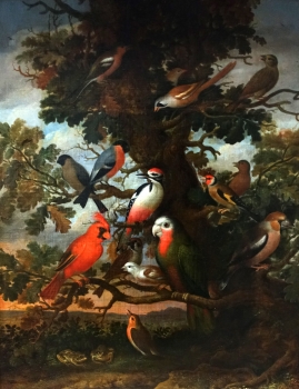 Jakob Bogdani (attributed), Exotic Birds