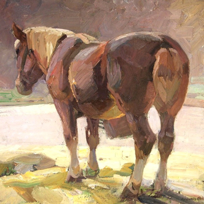 Tiere