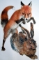 Preview: Michael Mathias Prechtl, Hase ADe