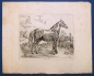 Preview: Johann Adam Klein, Schwarzes Pferd