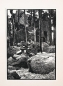 Preview: Franz Hein, (1863-1927), Forest Ruins