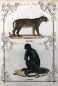 Preview: Dr. Friedrich Schwed (Friedrich Schultheiss), Vierbeiner