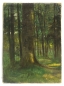 Preview: Carl Fleischmann, Forest Study
