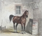 Preview: Johann Adam Klein, Pferde Ansicht im Stall