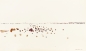 Preview: Oskar Koller, Gepunktete Linie
