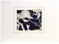 Preview: Johann Bayer, Pisces Zodiac sign