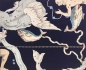 Preview: Johann Bayer, Pisces Zodiac sign