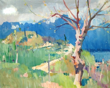 Reinhold Pallas, Spring