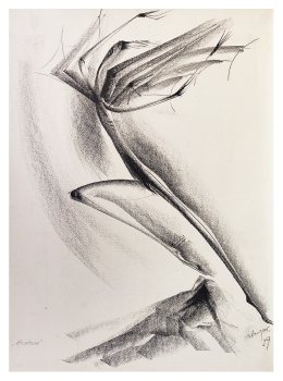 Preview: Tugomir Huberger, Ekstase