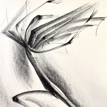 Preview: Tugomir Huberger, Ekstase