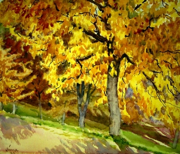 Peter Bina, Kirschbäume im Herbst bei Rosenbach