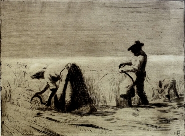 Hans Barthelmeß, Ernte