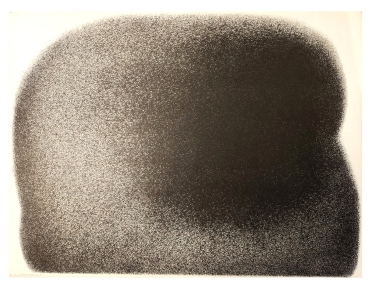 Preview: Werner Knaupp, Scarring