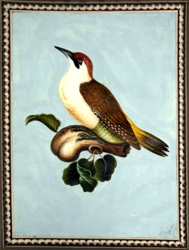 Franz Anton Winter, Immenstadt, Allgäu, Der Grünspecht