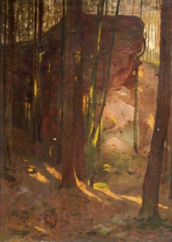 Carl Fleischmann, Schmausenbuck