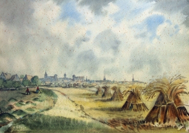 Franz Krauss, Blick auf Nürnberg