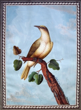 Franz Anton Winter, Gelber Vogel