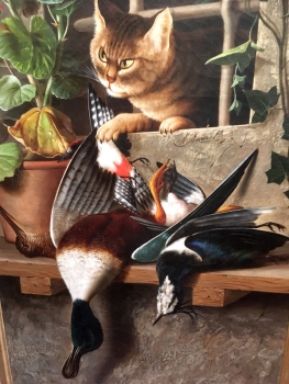 Michelangelo Meucci, cat hunted ducks