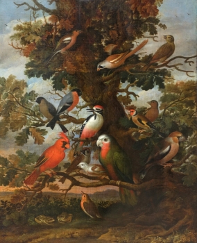Jakob Bogdani (zug.), Exotische Vogelwelt
