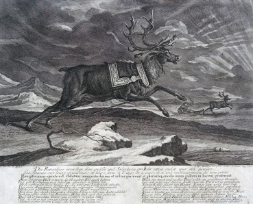 Johann Elias Ridinger, Die Rennthier erreichen ihre größe und Stärcke im 5ten Jahr setzen meist nur ein Junges