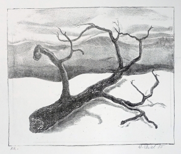 Werner Rentzel, Baum