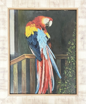 Preview: E. Stern, Papagei - Roter Ara