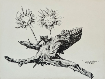 Emil Scheidig, Memory of Enterrottach