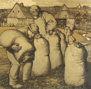 Schiestl Rudolf, farmers transport the sacks of grain