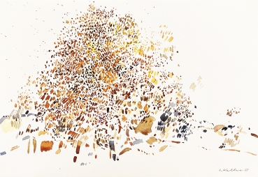 Oskar Koller, Abstract Color Representation