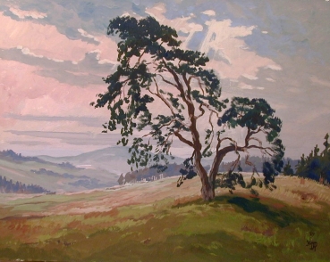 Kurt Mayer-Pfalz, Fränkische Landschaft