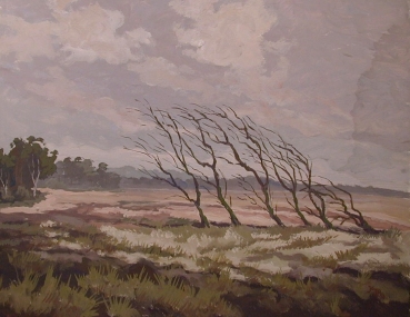 Kurt Mayer-Pfalz, Windige Landschaft