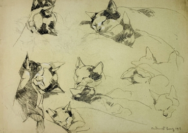 Andreas Bach, Katzenskizzen für Kinderbuch-Illustration