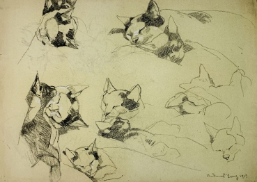 Andreas Bach, cat sketches for children's book illustration