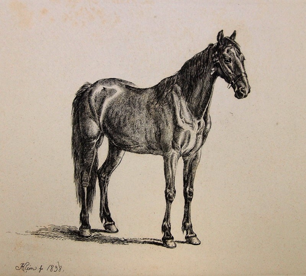 Johann Adam Klein, Russisches Pferd