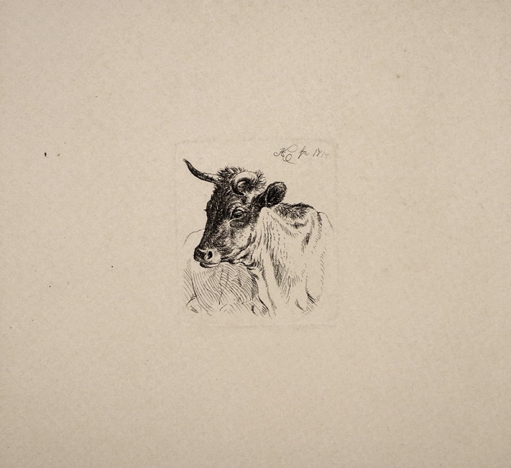 Johann Adam Klein, Naturstudie eines Stierkopfs