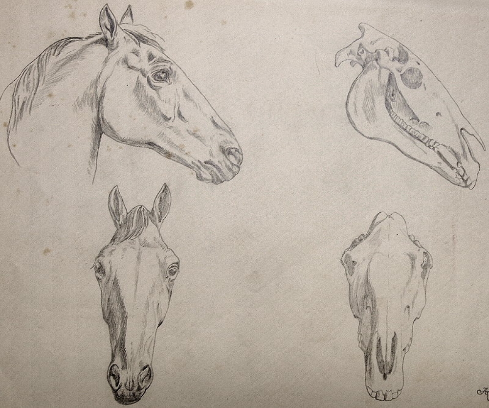 Johann Adam Klein, Study of a Horse Head