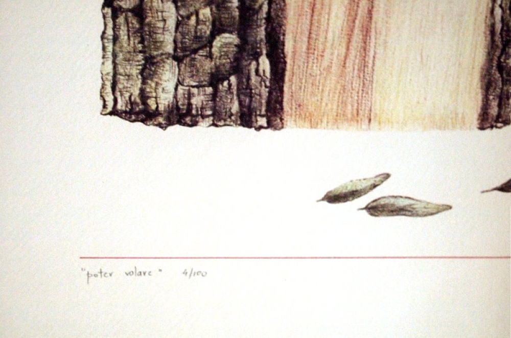 Marco Fedini (20. Jh.), poter volare, 1985