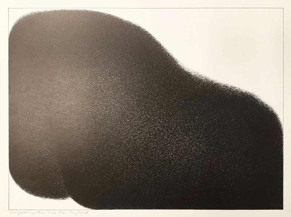 Werner Knaupp, Abrstarkte Vernarbung