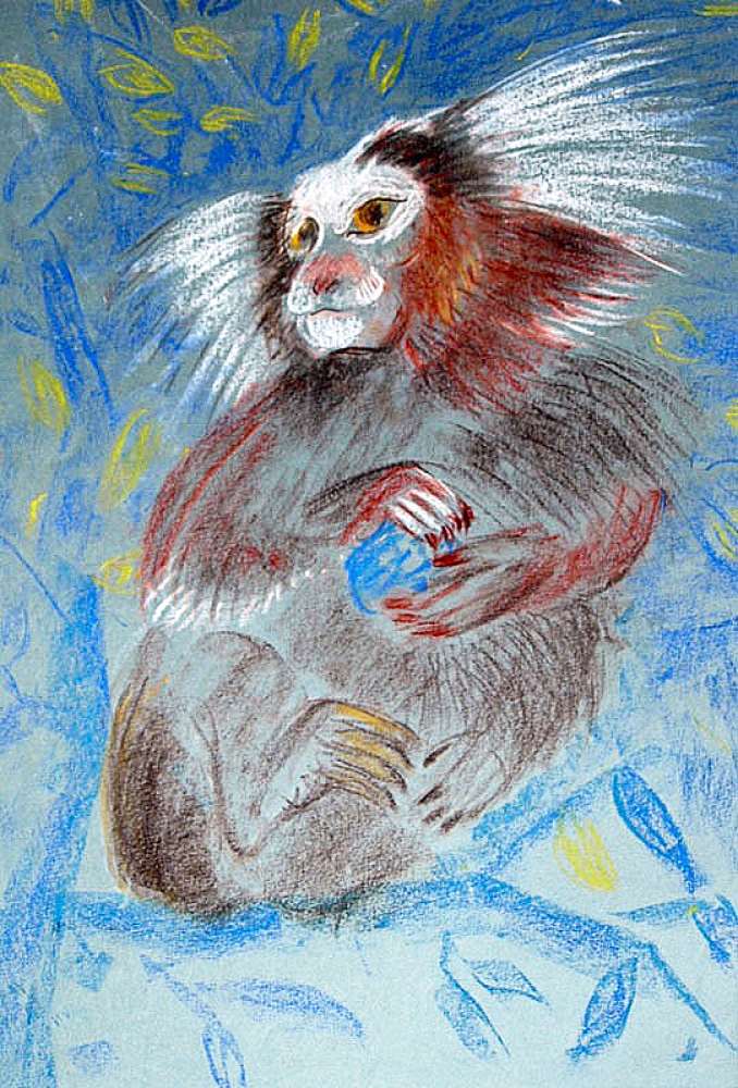 Gudrun Kunstmann, Monkey
