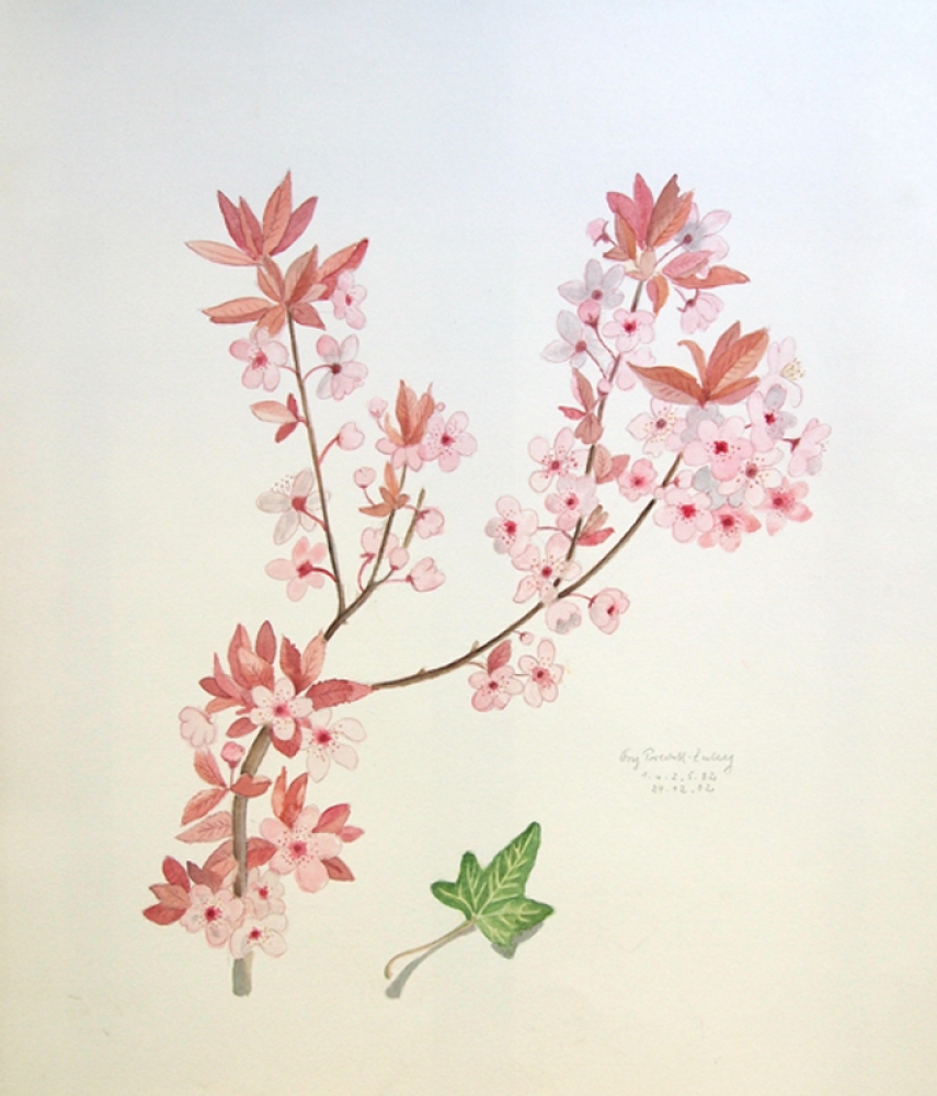 Frydl Prechtl-Zuleeg, Kirschblüten Stillleben