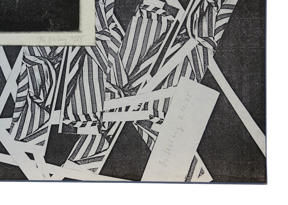 Frydl Prechtl-Zuleeg, Grünfink Collage
