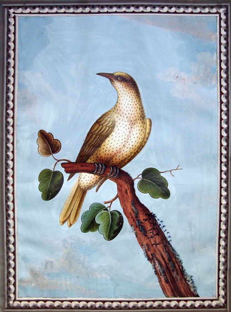 Franz Anton Winter, Gelber Vogel