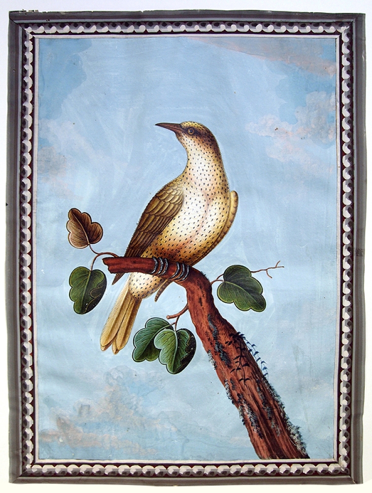 Franz Anton Winter, Gelber Vogel