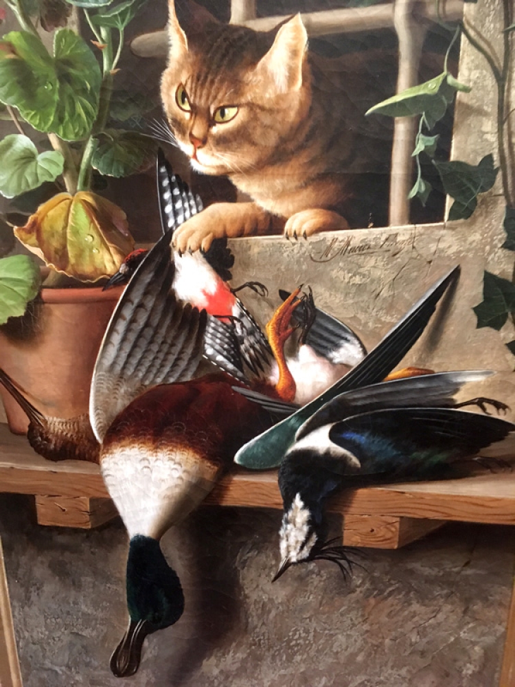 Michelangelo Meucci, cat hunted ducks