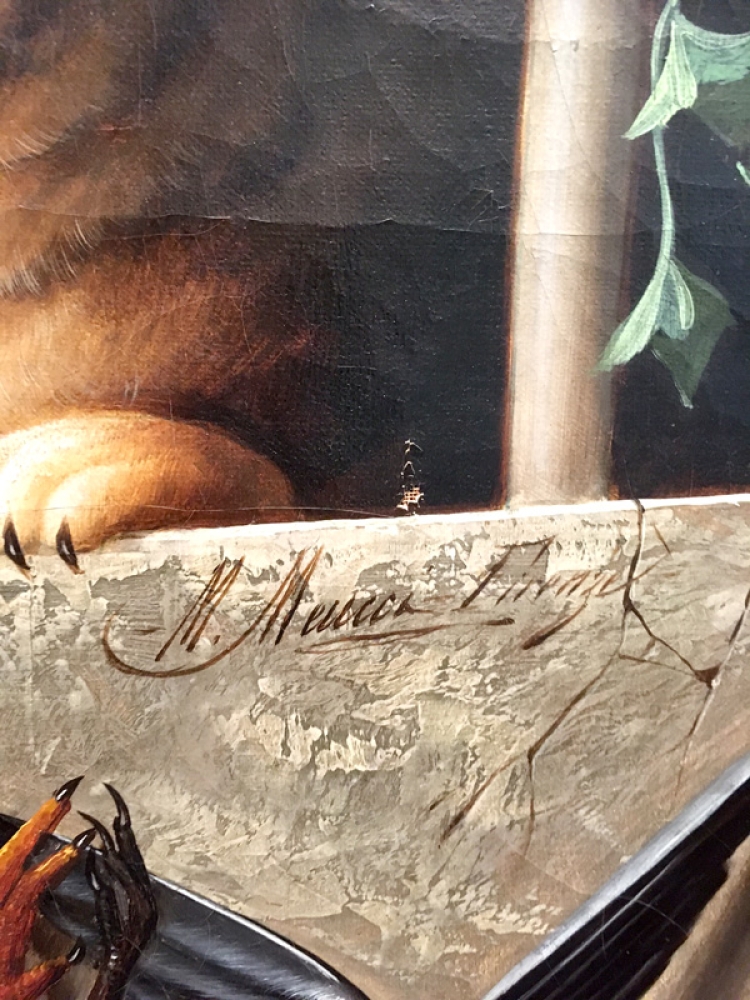 Michelangelo Meucci, cat hunted ducks
