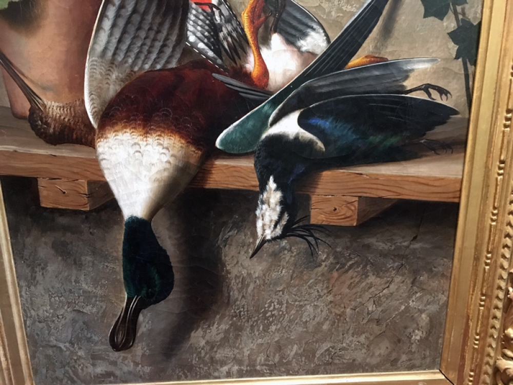 Michelangelo Meucci, cat hunted ducks