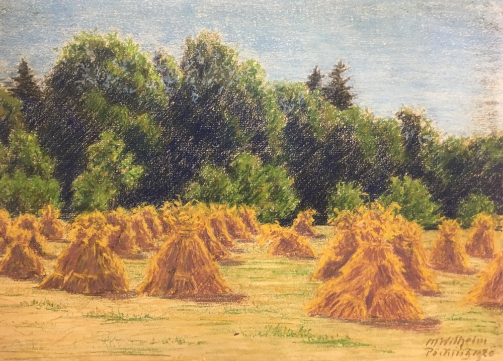 Martin Wilhelm, Ears of corn