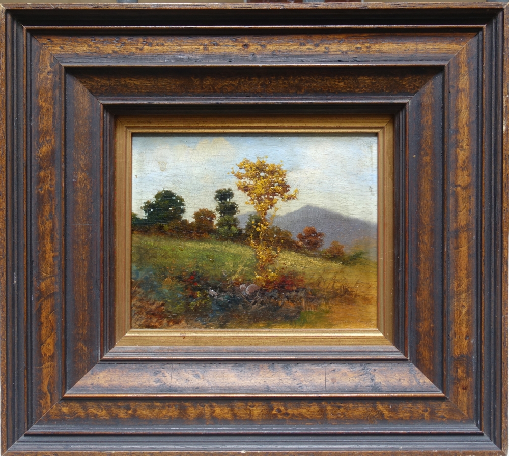 Miklós Neogrády, Landschaft
