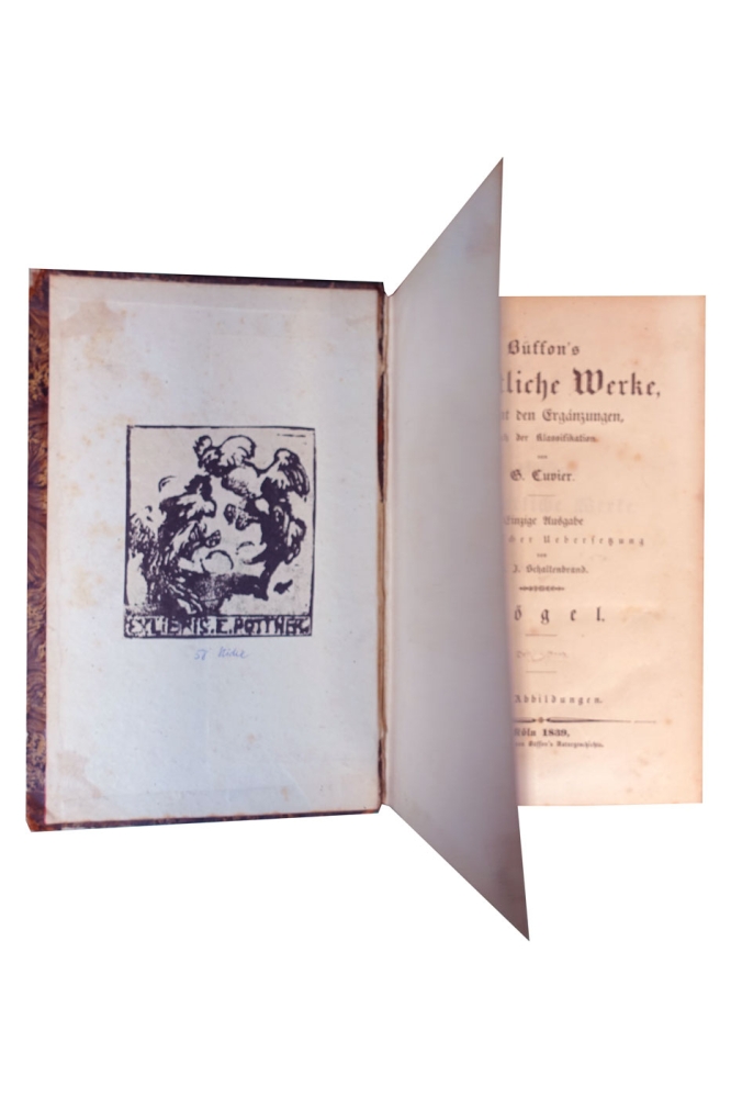 Georges-Louis Leclerc de Buffon, Neunter Band "Vögel" aus Buffon's sämmtliche Werke, sammt den Ergänzungen nach der Klassifikation von G. Cuvier -  Einzige Ausgabe in deutscher Uebersetzung von H. J. Schaltenberg. 58 Abbildungen (Stiche)