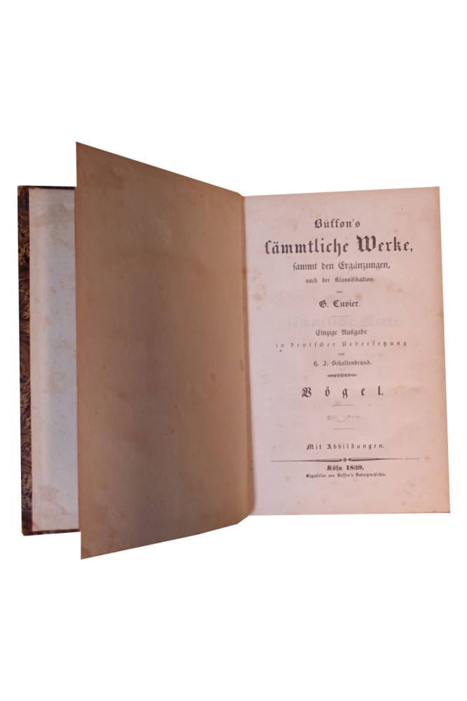 Georges-Louis Leclerc de Buffon, Neunter Band "Vögel" aus Buffon's sämmtliche Werke, sammt den Ergänzungen nach der Klassifikation von G. Cuvier -  Einzige Ausgabe in deutscher Uebersetzung von H. J. Schaltenberg. 58 Abbildungen (Stiche)